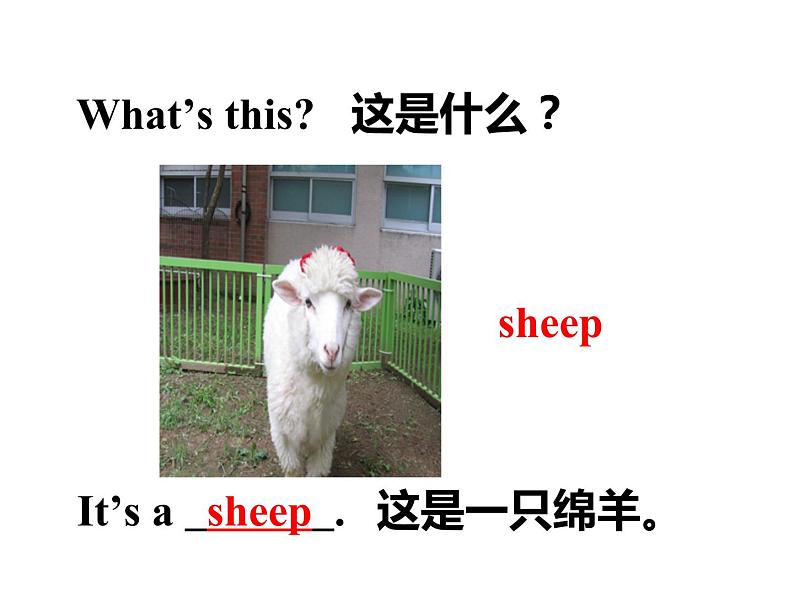 三年级下册英语课件 Unjt 1 Lesson 1  On the Farm 冀教版(共13张PPT)第4页