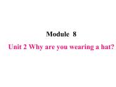 六年级下册英语课件-M8-Unit2 Why are you wearing a hat外研版（三起）(共19张PPT)