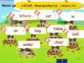 接力版英语四年级上册 Lesson 3 Where is the cat  课件+素材