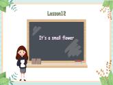 接力版英语四年级上册 Lesson 12 It’s a small flower 课件