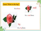 接力版英语四年级上册 Lesson 12 It’s a small flower 课件
