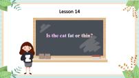 接力版四年级上册Lesson 14 Is the cat fat or thin?课前预习课件ppt