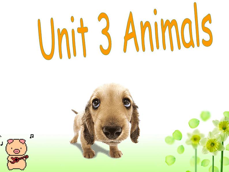 广东版开心英语三上Unit 3《Animals》课件第1页