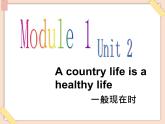 【广州版】六年级英语上册 Unit 2 A country life is a health life1课件