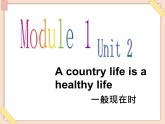 【广州版】六年级英语上册 Unit 2 A country life is a health life1课件