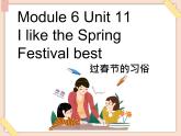 【广州版】六年级英语上册 Unit 11 I like the spring festival best课件