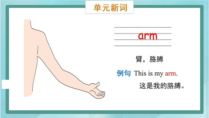 鲁科版五四制3上英语Unit 4 Body Lesson 1 This is my head（课件）08