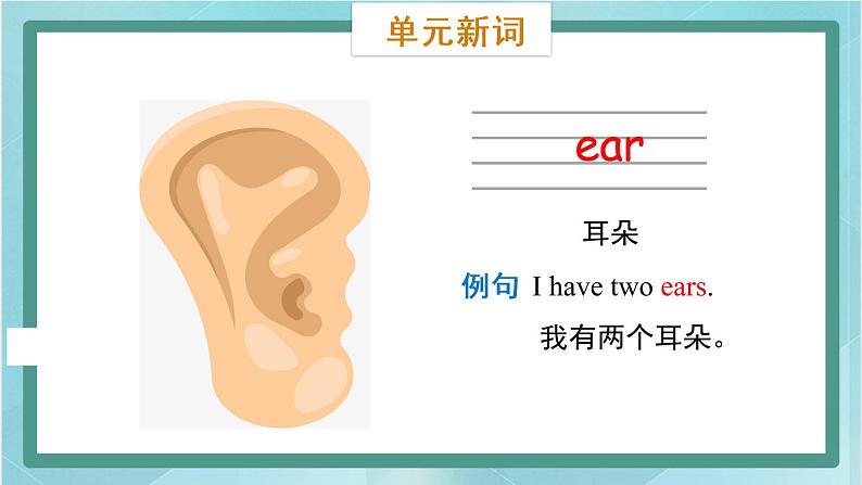 鲁科版五四制3上英语Unit 4 Body Lesson 3  I have two eyes(课件）06