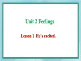 鲁科版五四制5上英语Unit 2 Feelings Lesson 1  He’s excited(课件）
