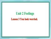 鲁科版五四制5上英语Unit 2 Feelings Lesson 3 You look worried(课件）
