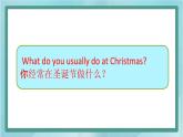 鲁科版五四制5上英语Unit 6 Christmas Lesson 2 I will put the lights on the tree(课件）