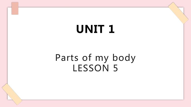 清华大学版1上英语Unit 1 Lesson 5 课件01