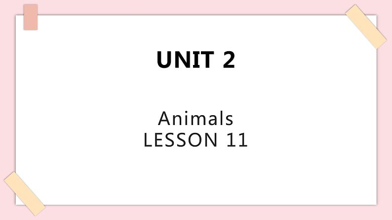 清华大学版1上英语Unit 2 Lesson 11 课件01