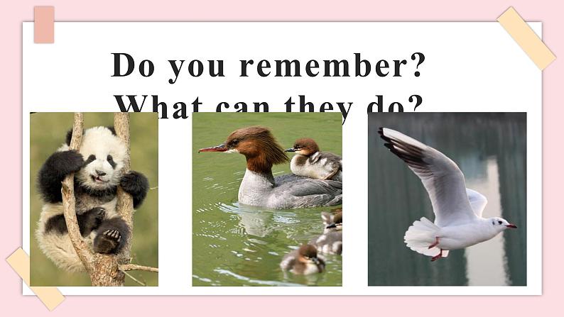 清华大学版1上英语Unit 4 Lesson 25 课件03