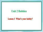 鲁科版五四制4上英语Unit 2 Hobbies Lesson 3  What’s your hobby(课件）