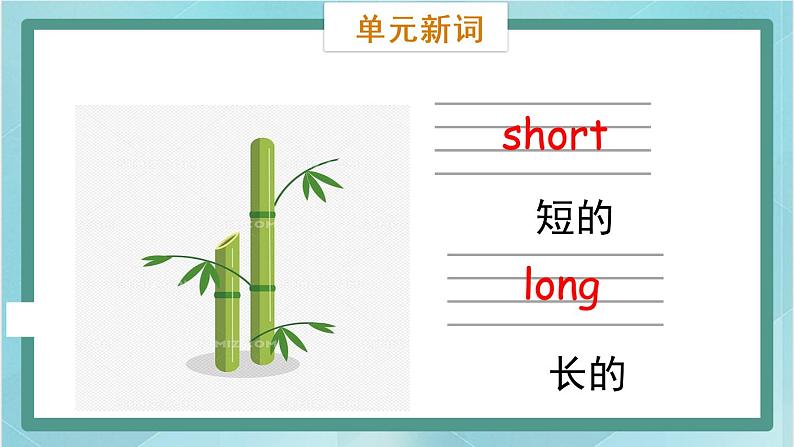 鲁科版五四制4上英语Unit 6 Family Lesson 1  My father has short hair(课件)06