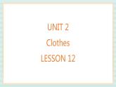 清华大学版小学英语 二年级上册Unit 2 Clothes Lesson 12 课件（10张PPT）