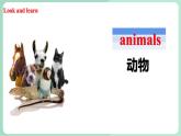 清华大学版小学英语 三年级上册 -unit 2 the short vowel sounds lesson 8 课件