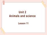 清华大学版小学英语 六年级上册 -unit 2 animals and science  lesson 11课件