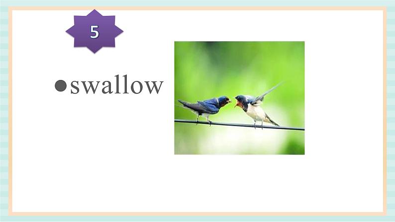 清华大学版小学英语 五年级上册 -unit 4 how much do you know lesson 26 课件07