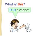 香港朗文版小学英语一年级下册语法课件第一单元 Choosing a pet