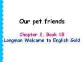 香港朗文版小学英语一年级下册语法课件第二单元 Our pet friends