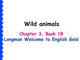 香港朗文版小学英语一年级下册语法课件第三单元 Wild animals