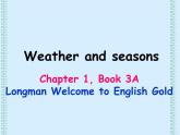 香港朗文版小学英语三年级上册语法课件第一单元 Weather and seasons