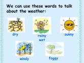 香港朗文版小学英语三年级上册语法课件第一单元 Weather and seasons