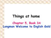 香港朗文版小学英语三年级上册语法课件第五单元 Things at home
