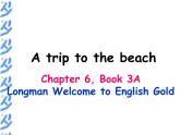 香港朗文版小学英语三年级上册语法课件第六单元 A trip to the beach