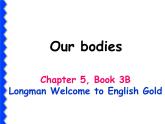 香港朗文版小学英语三年级下册语法课件第五单元 Our bodies
