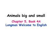 香港朗文版小学英语四年级上册阅读课件第五单元 Animals big and small
