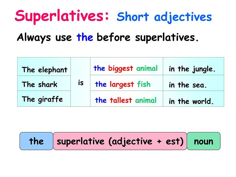 香港朗文版小学英语四年级上册阅读课件第五单元 Animals big and small08