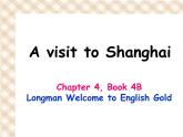香港朗文版小学英语四年级下册语法课件第四单元 A visit to Shanghai