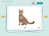 香港朗文版小学英语一年级下册单词朗读课件第一单元 Choosing a pet