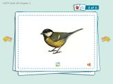 香港朗文版小学英语一年级下册单词朗读课件第一单元 Choosing a pet