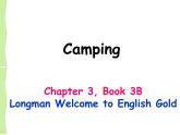 香港朗文版小学英语三年级下册语法课件第三单元 Camping