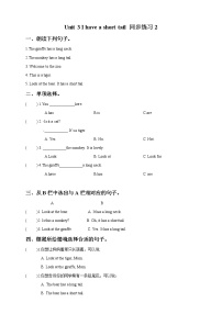 新版-牛津译林版二年级上册Unit 3 It has a short tail课时作业