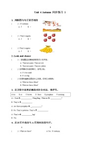 小学英语新版-牛津译林版二年级上册Unit 4 Autumn达标测试