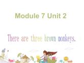 外研版（一起）一年级英语下册module 7 unit 2 there are three brown monkeys 课件