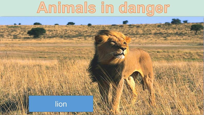 小学英语六年级第二模块第五单元第三课时第3页