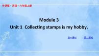 外研版 (三年级起点)六年级上册Module 3Unit 1 Collecting stamps is my hobby.课前预习课件ppt