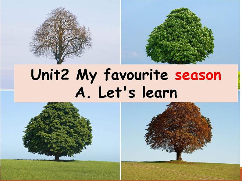 unit 2 let 's learn第1页