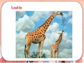 新牛津上海版英語(yǔ)六上Module 2 Unit 5 Animals in danger  PPT課件+音視頻素材