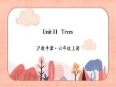 新牛津上海版英語六上Module 4 Unit 11 Trees  PPT課件+音視頻素材