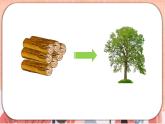 新牛津上海版英語六上Module 4 Unit 11 Trees  PPT課件+音視頻素材
