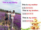 牛津译林版三年级英语上册-Unit 4 My family（Fun time&Cartoon time）（共28张）课件