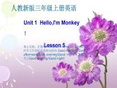 三年级英语上册课件-Unit 1 Hello I'm Monkey Lesson 5  人教精通版