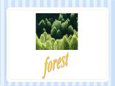 Unit6  In a nature  park（课件）人教PEP版英语五年级上册